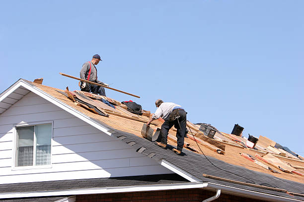 Best Roof Maintenance and Cleaning  in Sidney, MT